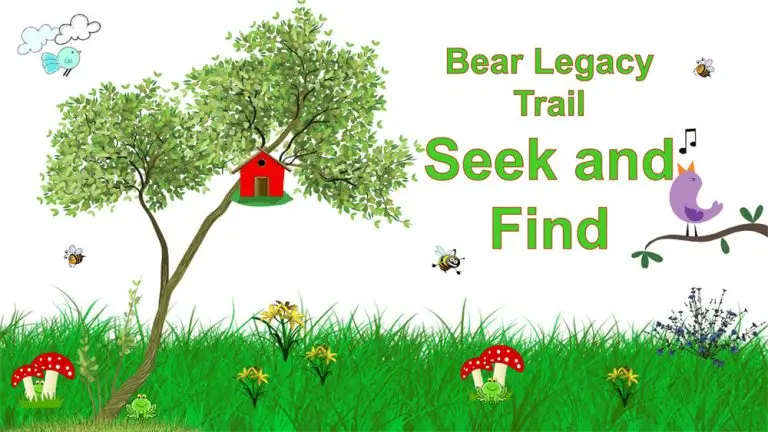 Seek and Find