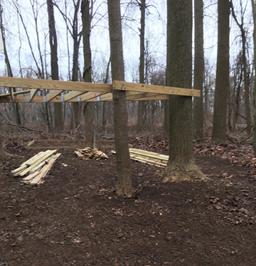 New treehouse