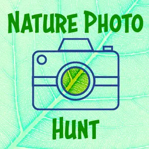 nature photo hunt