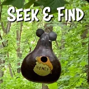 Seek and Find